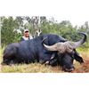 Image 1 : 7-day South African Cape Buffalo and Crocodile Hunt for One Hunter and One Observer