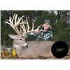 Image 2 : 3-day/4-night Missouri Whitetail Deer Hunt for One Hunter and One Observer