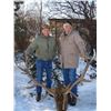 Image 1 : 5-day Montana Rocky Mountain Elk Hunt for One Hunter and Observer