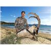 Image 2 : 8-days/ 11 nights, Greece Kri Kri Ibex and European Mouflon for Two Hunters and Two Observers with s