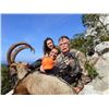Image 3 : 8-days/ 11 nights, Greece Kri Kri Ibex and European Mouflon for Two Hunters and Two Observers with s