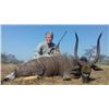 Image 1 : 7-day Zululand, South Africa Nyala and Plains Game Hunt for Two Hunters and Two Observers