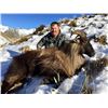 Image 2 : 5-day New Zealand Tahr and Chamois Hunt for Two Hunters and a $1,000 Credit Towards Red Stag