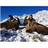 Image 3 : 5-day New Zealand Tahr and Chamois Hunt for Two Hunters and a $1,000 Credit Towards Red Stag