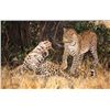 Image 1 : Original Oil Painting by Linda Besse