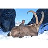 Image 1 : 8-day Tajikistan Mid-Asian Ibex Hunt for One Hunter