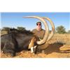 Image 2 : 10-day South Africa Gold-Medal Sable Hunt for Four Hunters