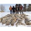 Image 1 : 5-day Alberta Coyote Hunt for Four Hunters