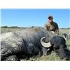 Image 2 : 6-day Argentina Red Deer, Water Buffalo and Two Blackbuck for Two Hunters