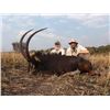 Image 1 : 7-day Zambia Sable, Puku and Burchell's Zebra Hunt for One Hunter and One Observer