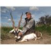 Image 1 : 5-day Argentina Gold Medal Blackbuck Hunt and High-Volume Dove Shooting for Two Hunters