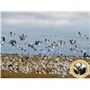 Image 1 : 3-day Saskatchewan Waterfowl Hunt for Four Hunters