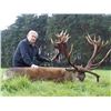 Image 1 : 5-day Hungary Fallow Deer and Red Stag Hunt for Two Hunters and Two Observers