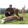 Image 2 : 5-day Hungary Fallow Deer and Red Stag Hunt for Two Hunters and Two Observers