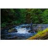 Image 3 : 3-day Haida Gwaii Salmon & Halibut Fishing Trip for Two Anglers
