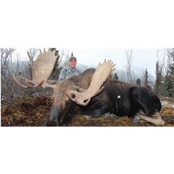 10-day Western Canada Moose Hunt for One Hunter