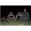 Image 2 : 3-1/2 day Missouri White-tailed Deer Hunt with Adam Vinatieri for Two Hunters and Two Observers