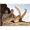 Image 2 : 10-day Spain Southeastern Ibex, Beceite Ibex and Ronda Ibex Hunt for Two Hunters and Two Observers