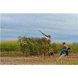 4-day Bolivian Dove and Pigeon Shoot for Twelve Hunters