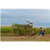 Image 1 : 4-day Bolivian Dove and Pigeon Shoot for Twelve Hunters
