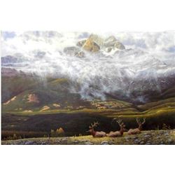 Original Oil on Canvas