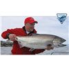 Image 1 : 4-day Salmon and Halibut Fishing Trip for Two, at The Luxurious Langara Island Lodge