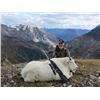 Image 1 : 10-day British Columbia Mountain Goat Hunt for One Hunter
