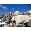 Image 2 : 10-day British Columbia Mountain Goat Hunt for One Hunter