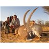 Image 1 : 8-day South Africa Gold-Medal Southern Roan Antelope Hunt for One Hunter and One Observer