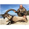 Image 1 : 5-day Greece Kri Kri Ibex Hunt for One Hunter and One Observer