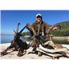 Image 2 : 5-day Greece Kri Kri Ibex Hunt for One Hunter and One Observer