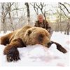 Image 1 : 6-day Kamchatka Brown Bear Hunt for One Hunter