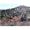 Image 1 : 5-day Argentina Red Deer Hunt for One Hunter and One Observer