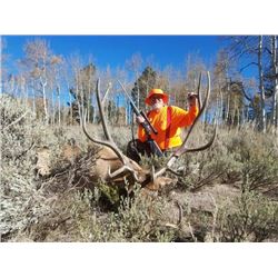 5-day Colorado Rocky Mountain Elk, Rocky Mountain Mule Deer and Black Bear Hunt for One Hunter and O