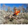 Image 1 : 5-day Colorado Rocky Mountain Elk, Rocky Mountain Mule Deer and Black Bear Hunt for One Hunter and O