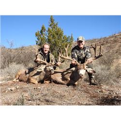 5-day Mexico Desert Mule Deer Hunt for One Hunter and One Observer