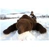 Image 1 : 10-day Kamchatka Brown Bear Hunt for One Hunter
