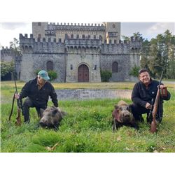 5-day Italy Wild Boar Hunt for Two Hunters and Two Observers