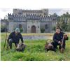 Image 1 : 5-day Italy Wild Boar Hunt for Two Hunters and Two Observers