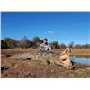 Image 1 : 7-day South Africa Nile Crocodile and Sable Hunt for Two Hunters and Two Observers