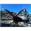Image 2 : 5-day Spain Beceite Ibex Hunt for One Hunter and One Observer