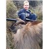 Image 2 : 5-day New Zealand Himalayan Tahr or Silver-Medal Red Deer Hunt for One Hunter and One Observer