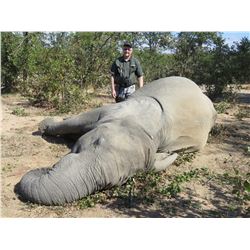 10-day Zambia Tuskless Elephant Hunt for One Hunter and One Observer