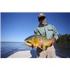 Image 2 : 4-day Argentina Dove and Dorado Cast and Blast Adventure for Six