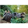 Image 1 : 5-day Spain Iberian Red Deer and European Wild Boar Hunt for Two Hunters and Two Observers
