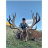 Image 2 : 5-day New Zealand Silver-Medal Red Deer Hunt for One Hunter and One Observer