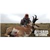 Image 1 : 3-day Wyoming Pronghorn Antelope Hunt for Two Hunters