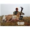 Image 2 : 3-day Wyoming Pronghorn Antelope Hunt for Two Hunters