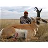Image 3 : 3-day Wyoming Pronghorn Antelope Hunt for Two Hunters
