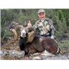Image 2 : 5-day Spain Iberian Mouflon or European Fallow Deer Hunt for Two Hunters and Two Observers
